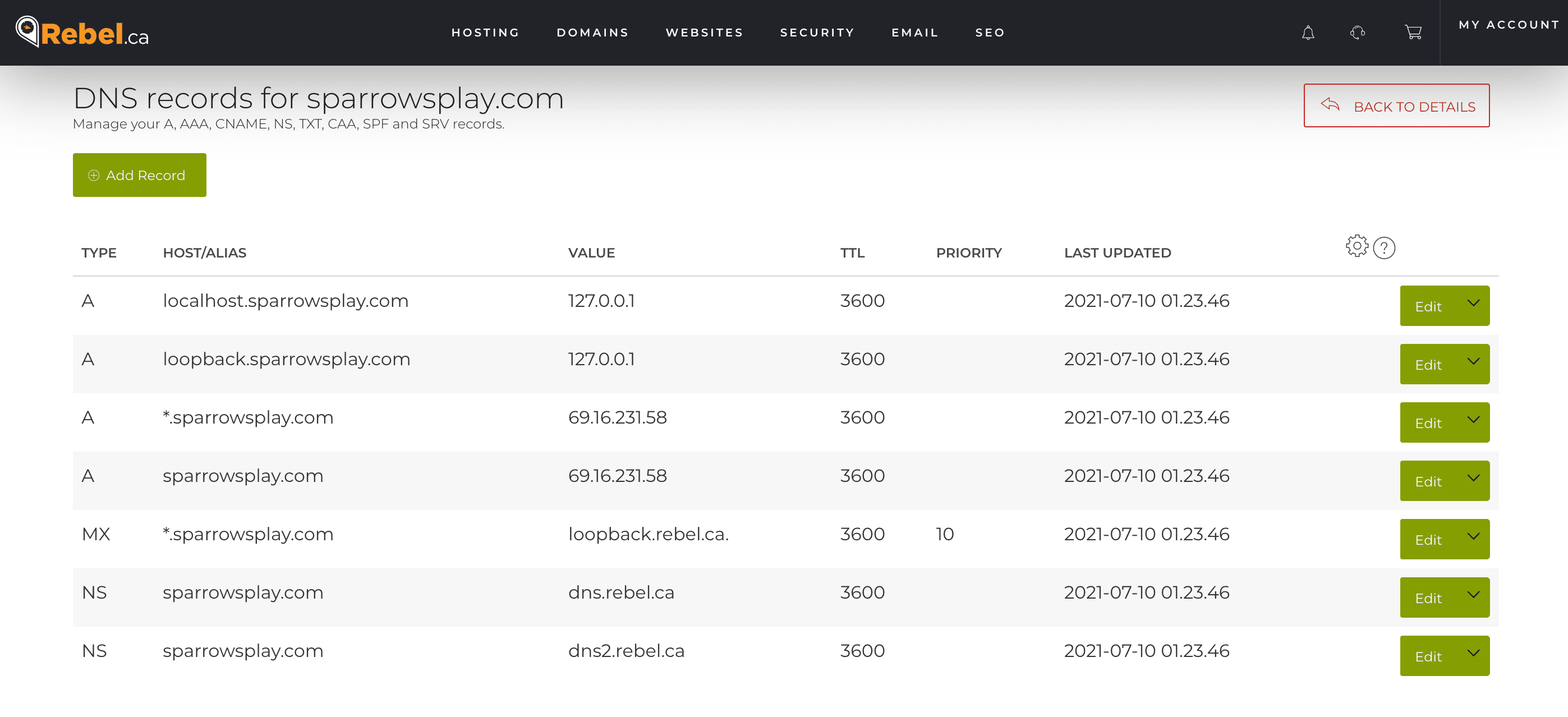 DNS zone records for a parked domain shown in a DNS management panel
