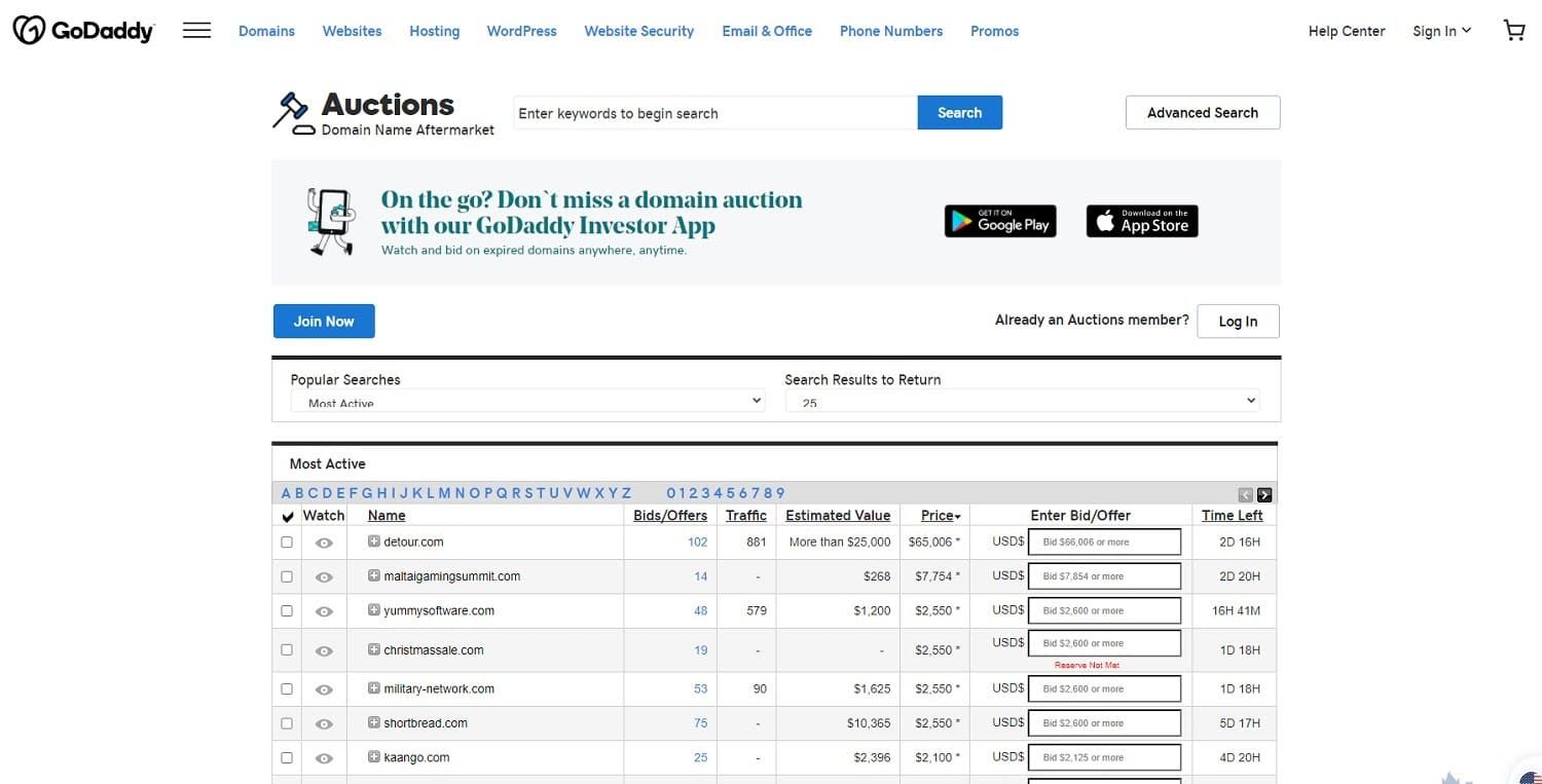 Domain auction marketplace listing where parked domains are monetized and sold