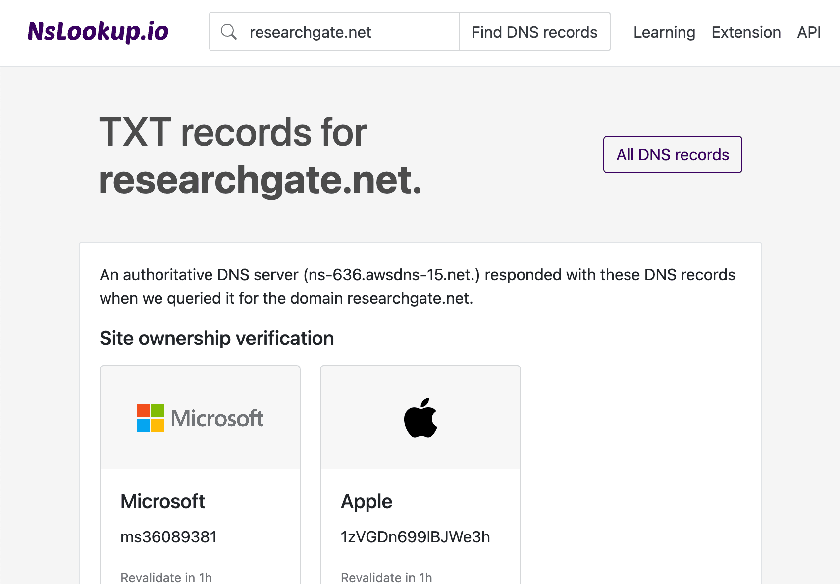 Example TXT record output showing SPF and verification strings