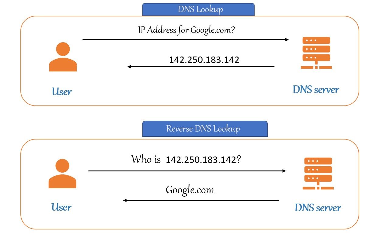 How a PTR record maps an IP address back to a domain name
