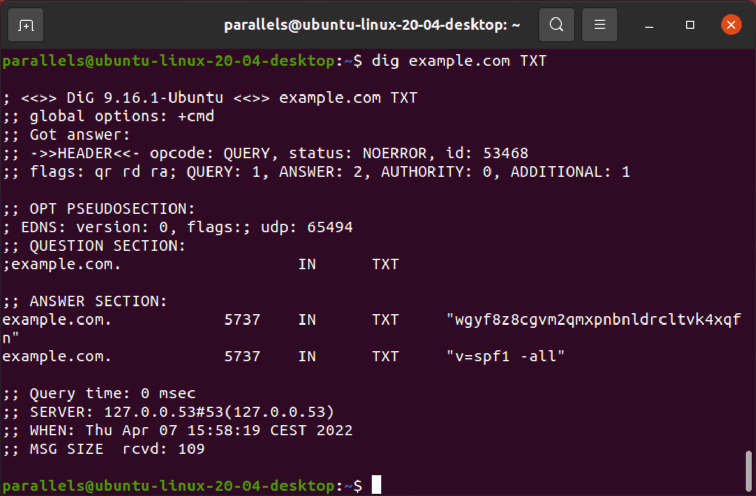 dig TXT command output for a domain in a Linux terminal